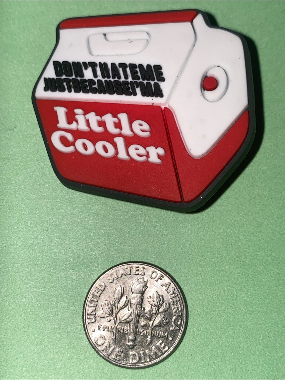 (10 for $15) DON'T HATE ME JUST BECAUSE I'M A Little Cooler Crocs Shoes Charms